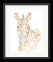Blush Savannah IV Framed Print