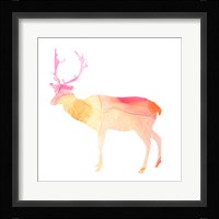 Agate Animal V Framed Print