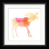Agate Animal VI Framed Print