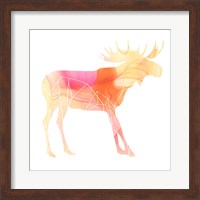 Agate Animal VI Fine Art Print