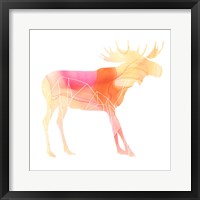 Agate Animal VI Framed Print