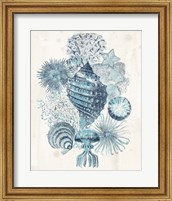 Coastal Melange II Fine Art Print