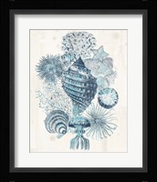 Coastal Melange II Fine Art Print