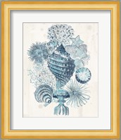 Coastal Melange II Fine Art Print