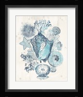 Coastal Melange III Framed Print