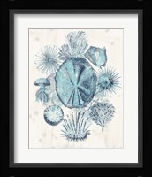 Coastal Melange IV Framed Print