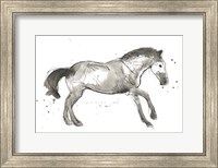 Equine Impressions I Fine Art Print