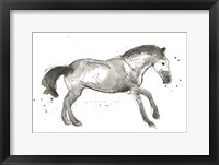 Equine Impressions I Framed Print