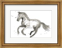 Equine Impressions II Fine Art Print