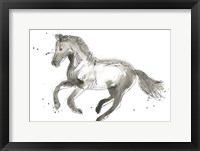 Equine Impressions II Framed Print