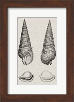 Charcoal & Linen Shells I Fine Art Print
