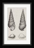 Charcoal & Linen Shells I Fine Art Print