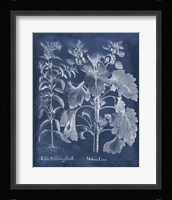 Besler Leaves in Indigo I Fine Art Print