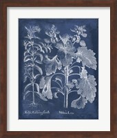 Besler Leaves in Indigo I Fine Art Print