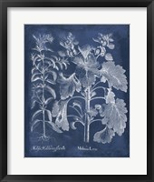 Besler Leaves in Indigo I Framed Print
