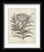 Fresco Artichoke I Fine Art Print