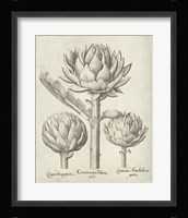 Fresco Artichoke II Fine Art Print