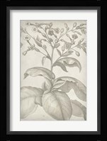 Classic Romance I Fine Art Print