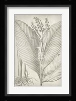 Classic Romance II Fine Art Print