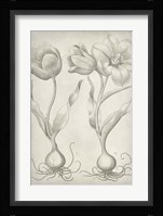 Classic Romance III Fine Art Print