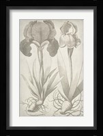 Classic Romance IV Fine Art Print