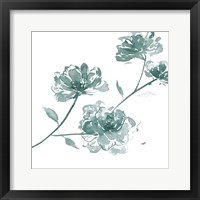 Traces of Flowers IV Framed Print
