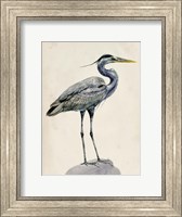 Blue Heron Rendering I Fine Art Print