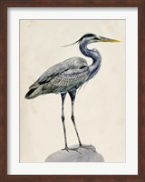 Blue Heron Rendering I Fine Art Print