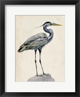 Blue Heron Rendering I Framed Print