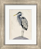 Blue Heron Rendering II Fine Art Print