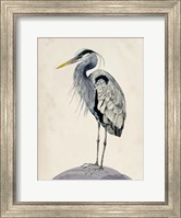 Blue Heron Rendering II Fine Art Print
