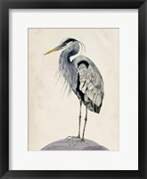 Blue Heron Rendering II Framed Print