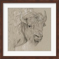 Bison Sketch I Fine Art Print