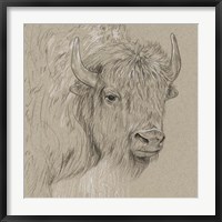 Bison Sketch I Fine Art Print