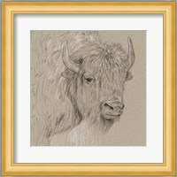 Bison Sketch I Fine Art Print