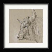 Bison Sketch II Framed Print