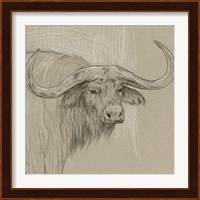 Longhorn Sketch II Fine Art Print