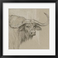 Longhorn Sketch II Framed Print