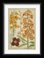 Tropical Floral I Framed Print