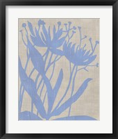 Dusk Botanical VI Framed Print