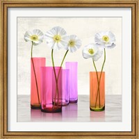 Poppies in crystal vases (Purple I) Fine Art Print