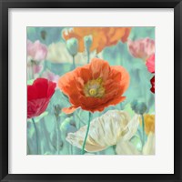 Poppies in Bloom I Fine Art Print