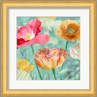 Poppies in Bloom II Fine Art Print