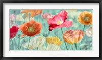 Poppies in Bloom Fine Art Print