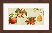 Fruits de Saison Fine Art Print
