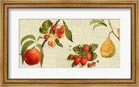 Fruits de Saison Fine Art Print