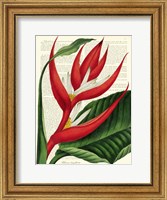 Vintage Botany I Fine Art Print