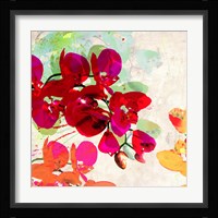 Orchidreams (detail) Fine Art Print