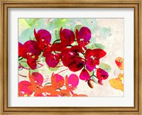 Orchidreams Fine Art Print
