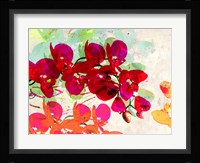 Orchidreams Fine Art Print